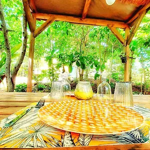 https://glamping-farmer.comcaribbean.com